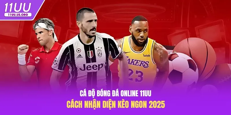 Cá độ bóng đá online