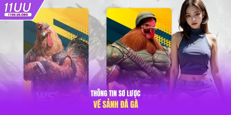 Thông tin sơ lược về sảnh đá gà