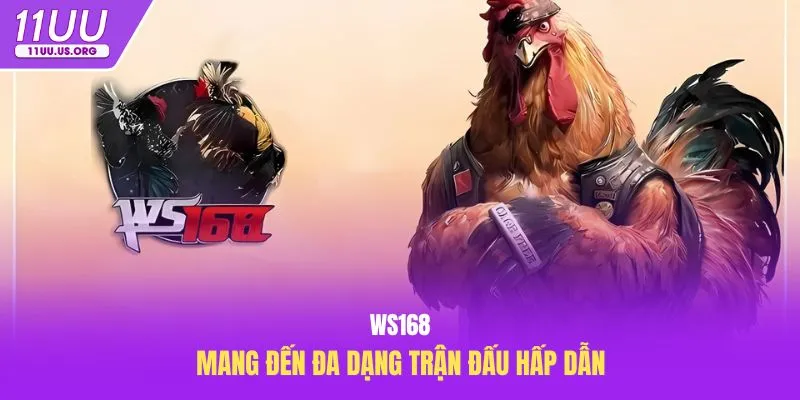 WS168 mang đến đa dạng trận đấu hấp dẫn