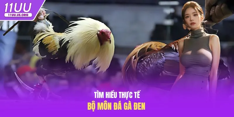 Tìm hiểu thực tế bộ môn đá gà đen 